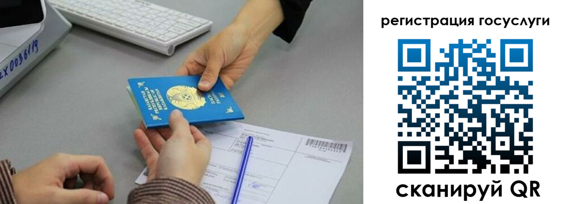 временная прописка в Александрове